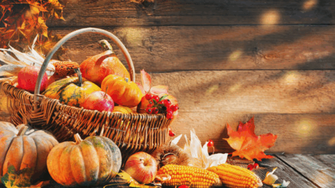 Сезонний кошик листопада що купувати і як зберігати