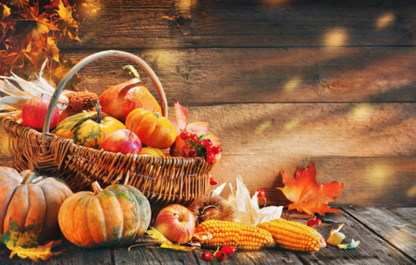 Сезонний кошик листопада що купувати і як зберігати